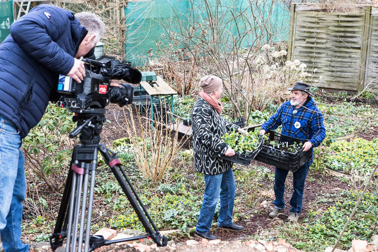 Das Fernsehteam des rbb im Garten von Mister Hepatica