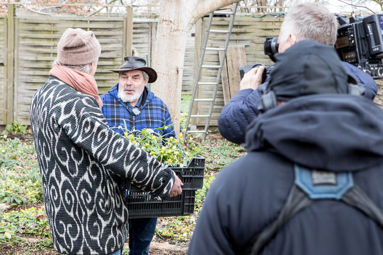 Das Fernsehteam des rbb im Garten von Mister Hepatica